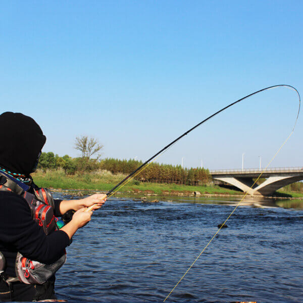 Caña Fly Fishing Cañas de pescar de venta en Quito Ecuador
